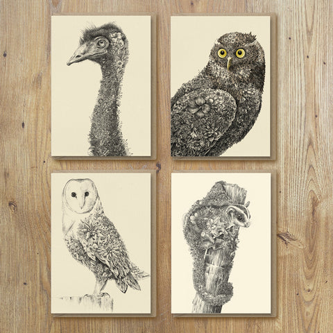 Greeting Cards – Aus Animals (Set of 8)