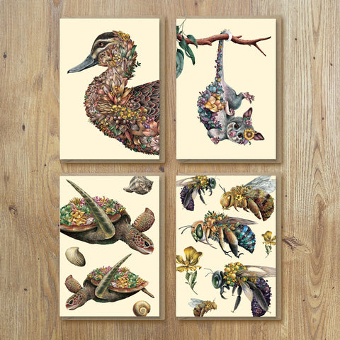 Greeting Cards – Austral (Set of 8)