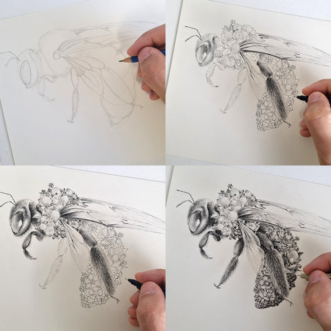 Great Carpenter Bee – Limited Edition Print