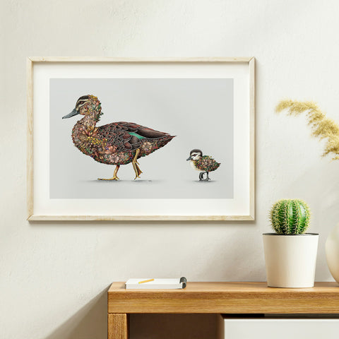 Pacific Black Duck – Limited Edition Print