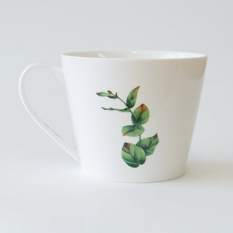 Mug & Coaster – Echidna Bushwalk