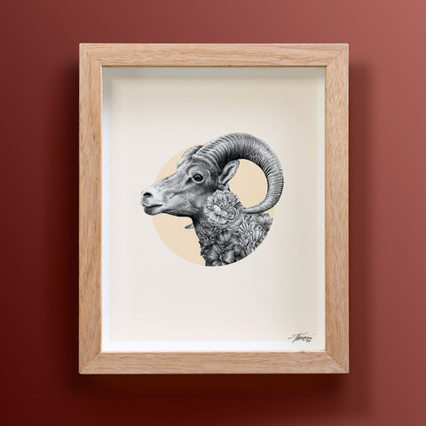 Goat Chinese Zodiac – Limited Edition Print