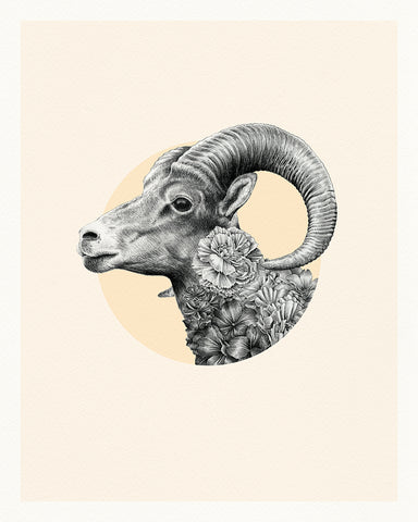 Goat Chinese Zodiac – Limited Edition Print