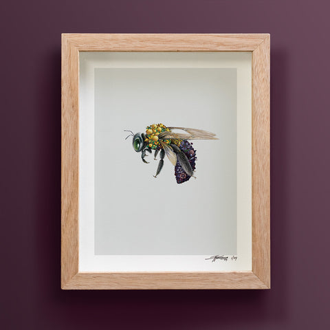 Great Carpenter Bee – Limited Edition Print