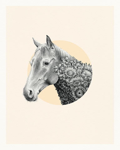 Horse Chinese Zodiac – Limited Edition Print