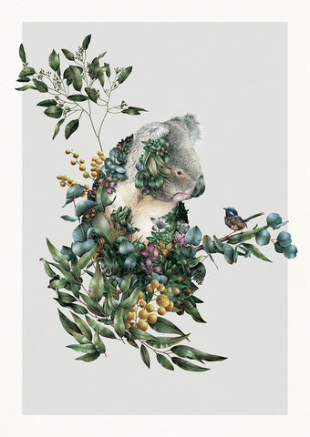 Koala & Wren Friendship – Limited Edition Print