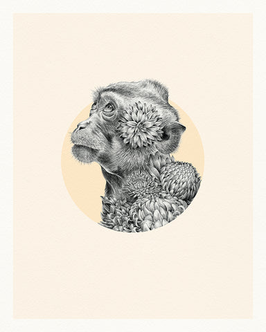 Monkey Chinese Zodiac – Limited Edition Print