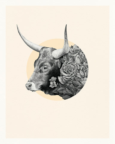 Ox Chinese Zodiac – Limited Edition Print