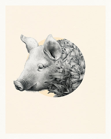 Pig Chinese Zodiac – Limited Edition Print