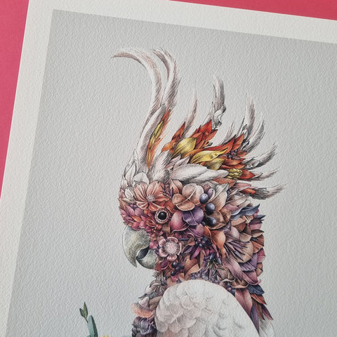 Pink Cockatoo – Limited Edition Print