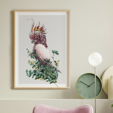 Pink Cockatoo – Limited Edition Print