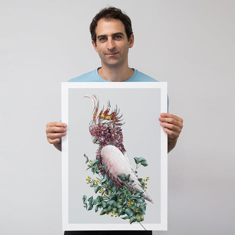 Pink Cockatoo – Limited Edition Print