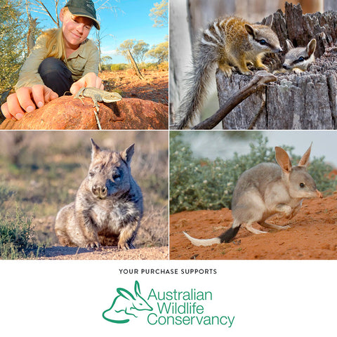 Mug & Coaster – Wombat Bushwalk