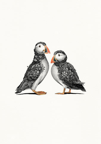 Puffin Couple (B&W) – Special Edition Print