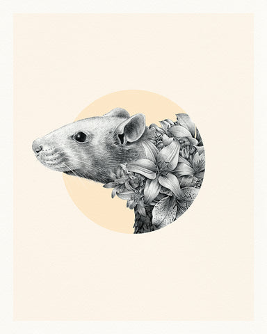 Rat Chinese Zodiac – Limited Edition Print