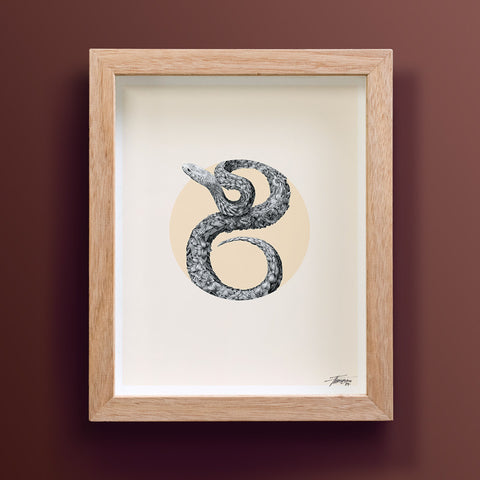 Snake Chinese Zodiac – Limited Edition Print