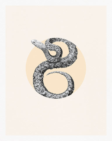 Snake Chinese Zodiac – Limited Edition Print