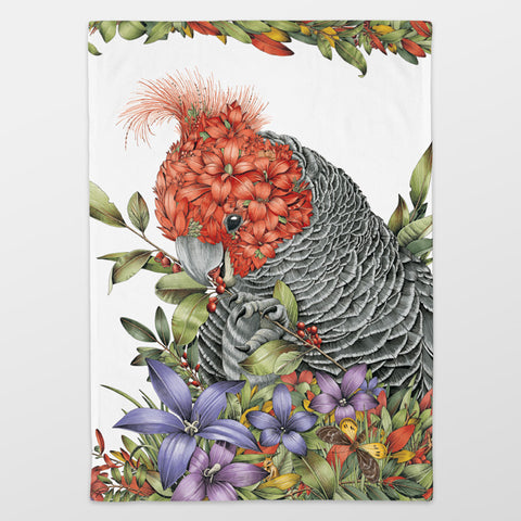 Organic Cotton Tea Towel – Gang-gang Cockatoo