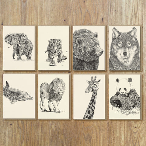 Greeting Cards – World Wildlife (Set of 8)